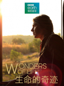 �������漣����ȫ��