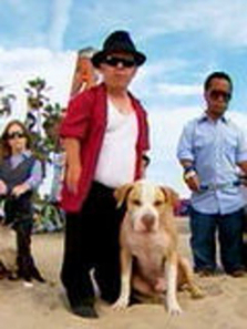 С��ͷ����Ϊ����ȫ��