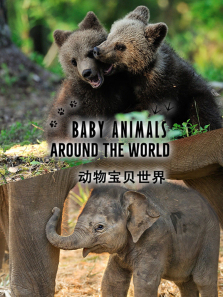 ���ﱦ����������ȫ��