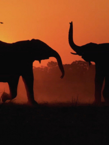 ���Լ��껪����ȫ��