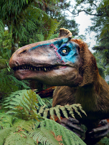 ���������ϼ�����ʱ������ȫ��