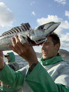 �������5������ȫ��