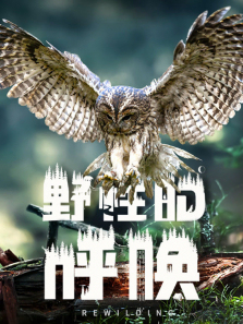 Ұ�Եĺ�������ȫ��