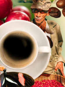 �����µĿ�������ȫ��