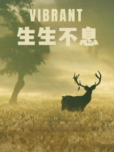 ������Ϣ����ȫ��