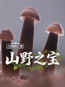 ����ԭ���ء�ɽҰ֮��