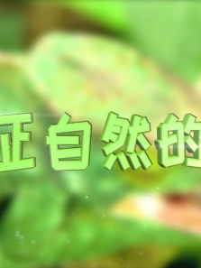 ��֤��Ȼ���漣����ȫ��