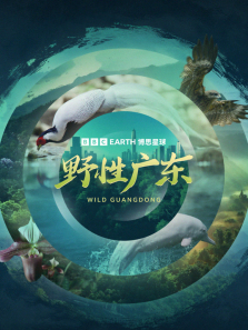 Ұ�Թ㶫���İ�����ȫ��