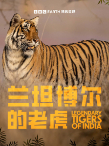 ��̹�������ϻ�����ȫ��