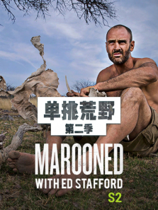 ������Ұ��2������ȫ��