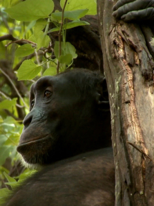 ������Ծ����ȫ��