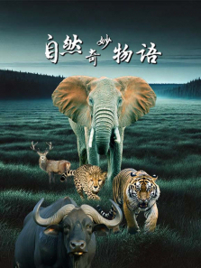 ��Ȼ������������ȫ��