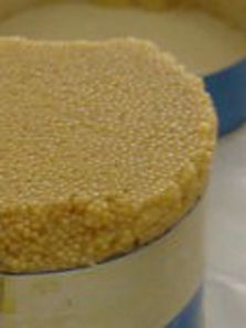 �ﺣ�����ӽ�����ȫ��