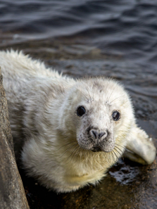 ������������������ȫ��