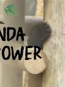 �����⽻����ȫ��