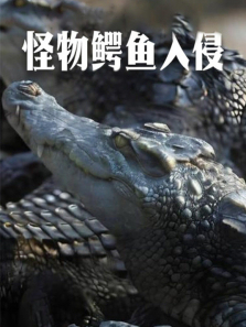 ����������������ȫ��