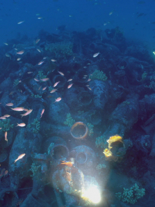 ��û�������������ȫ��