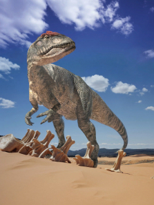 �����ͬ���ؼ���AL����֮������ȫ��