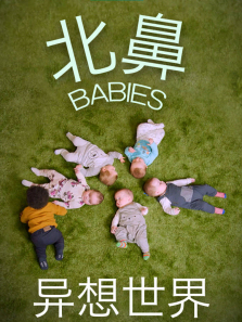 ���ǵ�������������ȫ��