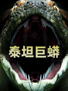 ̩̹��������ȫ��