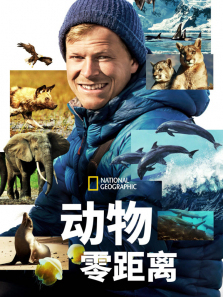 �������������ȫ��