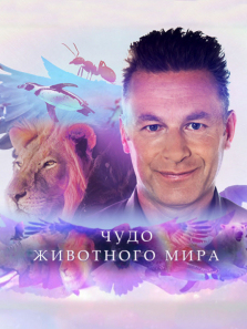 ����Ķ�������ȫ��