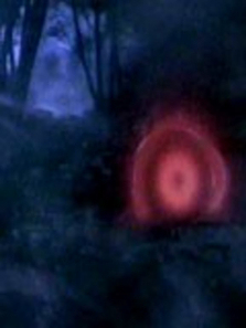 ����˹ά���¼�����ȫ��