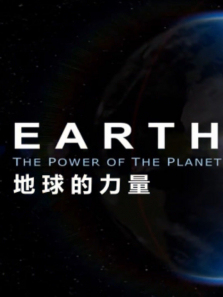 ������������ȫ��