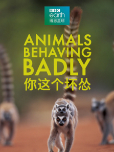 �������������ȫ��