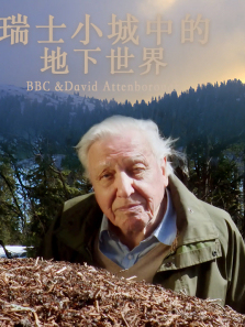 ��ʿС���еĵ�����������ȫ��