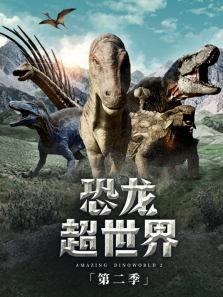 �����������2�����İ�����ȫ��