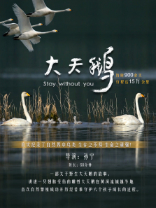 ���������ȫ��