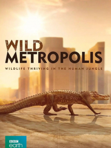 Ұ�Զ�������ȫ��