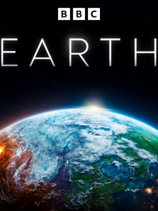 �������İ�����ȫ��