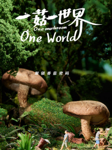 һ��һ��������ȫ��