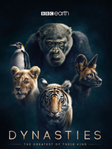 ������1�����İ�����ȫ��