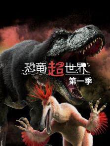 �����������1������ȫ��