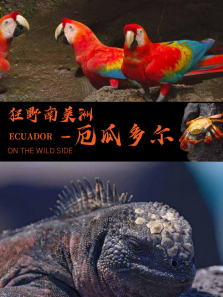 ��Ұ�����ޡ�����϶������ȫ��