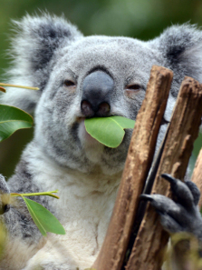 ������������ȫ��