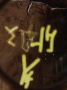 ����׹�������ȫ��