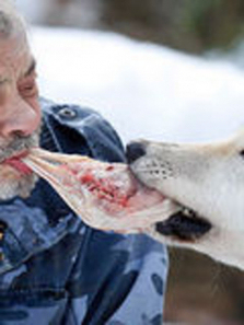 ���ǹ�������ȫ��