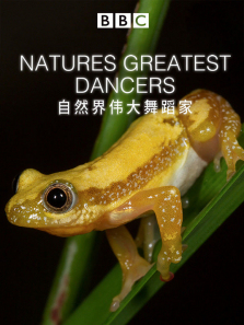 ��Ȼ��ΰ����赸������ȫ��