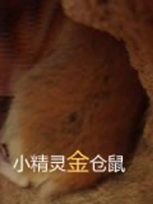 С������������ȫ��