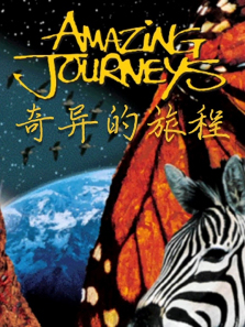 ������ó�����ȫ��