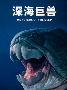 ���������������ȫ��