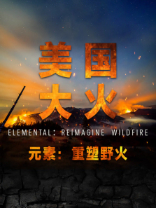 �����������ȫ��