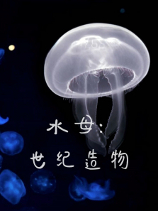 ˮĸ������������ȫ��