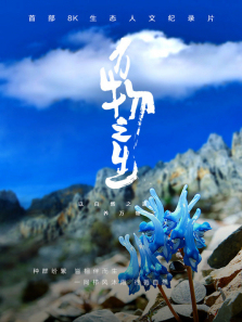 ����֮������ȫ��