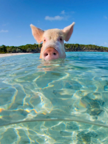 ��Ȼ����������¼���4������ȫ��