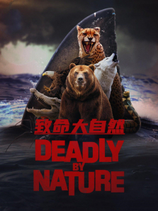 ��������Ȼ����ȫ��